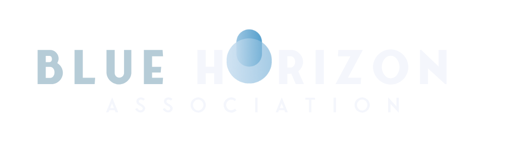 Blue Horizon Organization